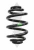 SPIDAN 86791 Coil Spring